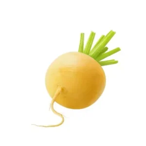 لفت أصفر
